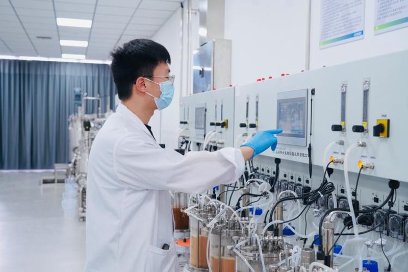 生物技术咨询：开启未来科技之门