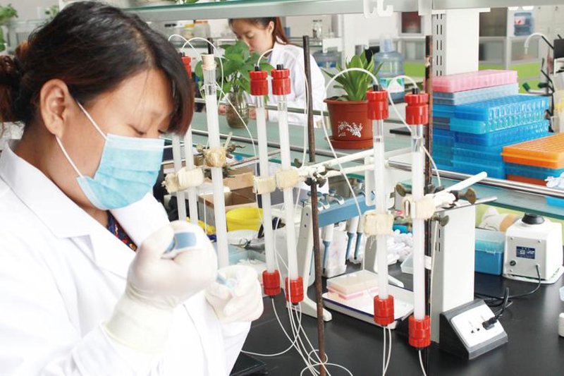 生物技术研发：打破迷思，拥抱未来